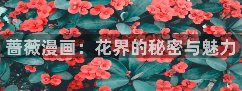 歪歪yy漫画：蔷薇漫画：花界的秘密与魅力
