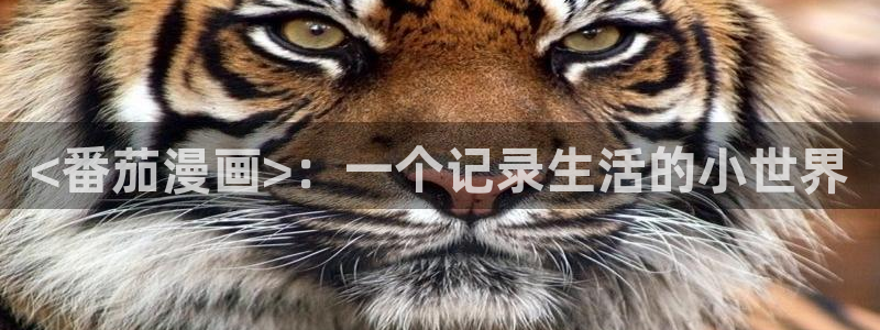 yy漫画登录网：<番茄漫画>：一个记录生活的小世界