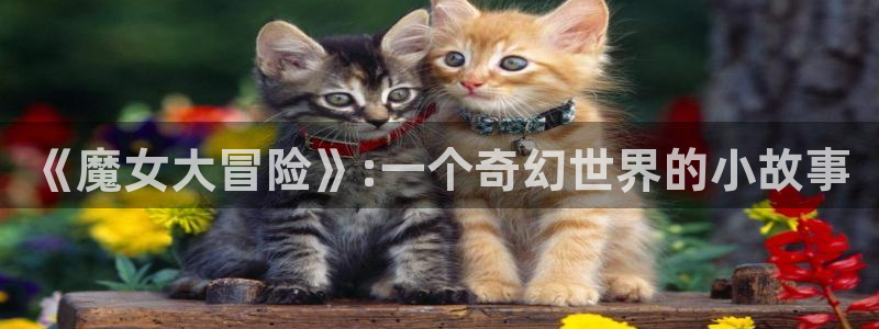 yy漫画网页版入口：《魔女大冒险》:一个奇幻世界的小故事