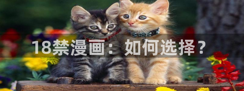 yy漫画无翼鸟：18禁漫画：如何选择？