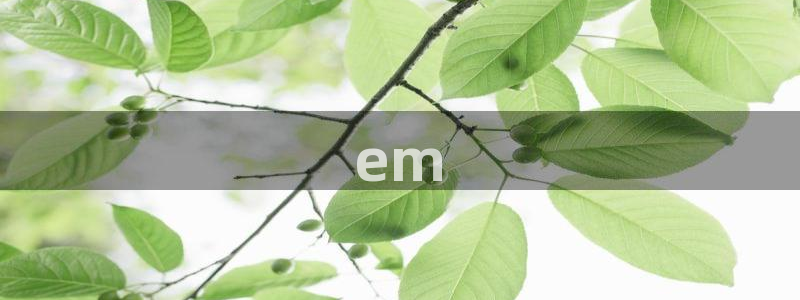 在线免费看yy漫画：em