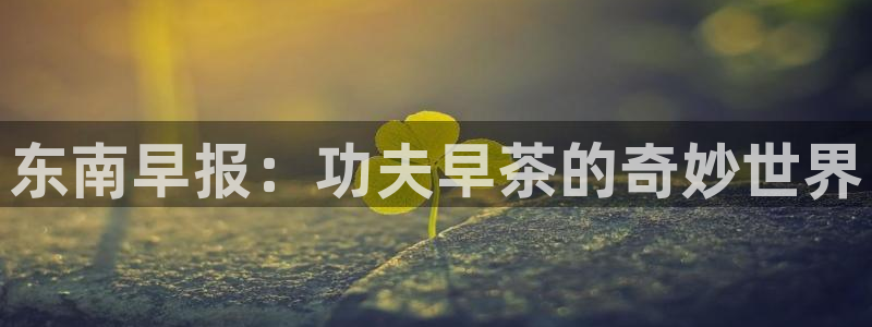 yy漫画无删减：东南早报：功夫早茶的奇妙世界
