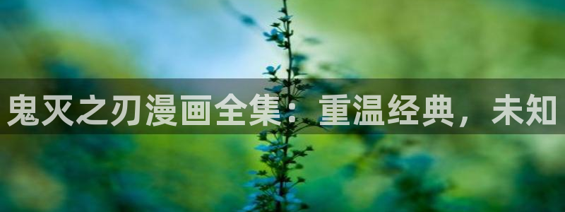 yy漫画首页登录入口页面在哪里：鬼灭之刃漫画全集：重温经典，未知