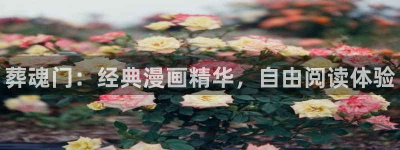 yy漫画在线观看免费漫画下拉式漫画：葬魂门：经典漫画精华，自由阅读体验