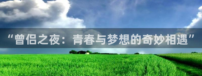 yy漫画网连载：“曾侣之夜：青春与梦想的奇妙相遇”