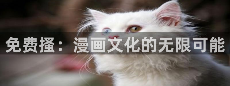 yy漫画网址：免费搔：漫画文化的无限可能