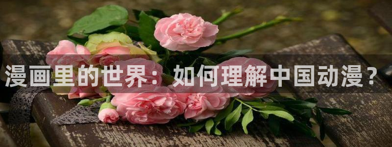yy漫画在线看：漫画里的世界：如何理解中国动漫？